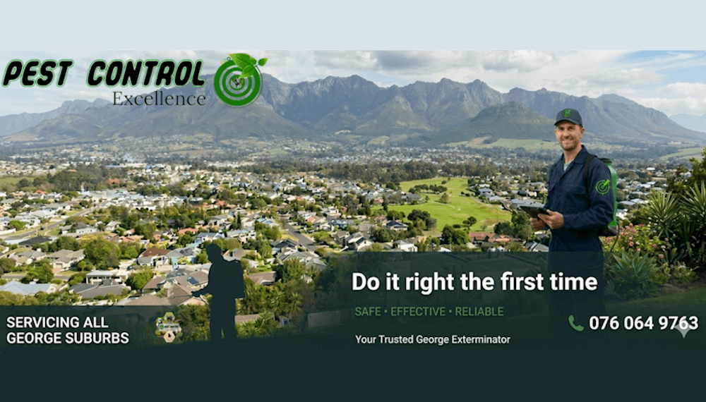 Professional Pest Control in George. The Ultimate Guide to Protecting Your Property - Pest Control Excellence in George