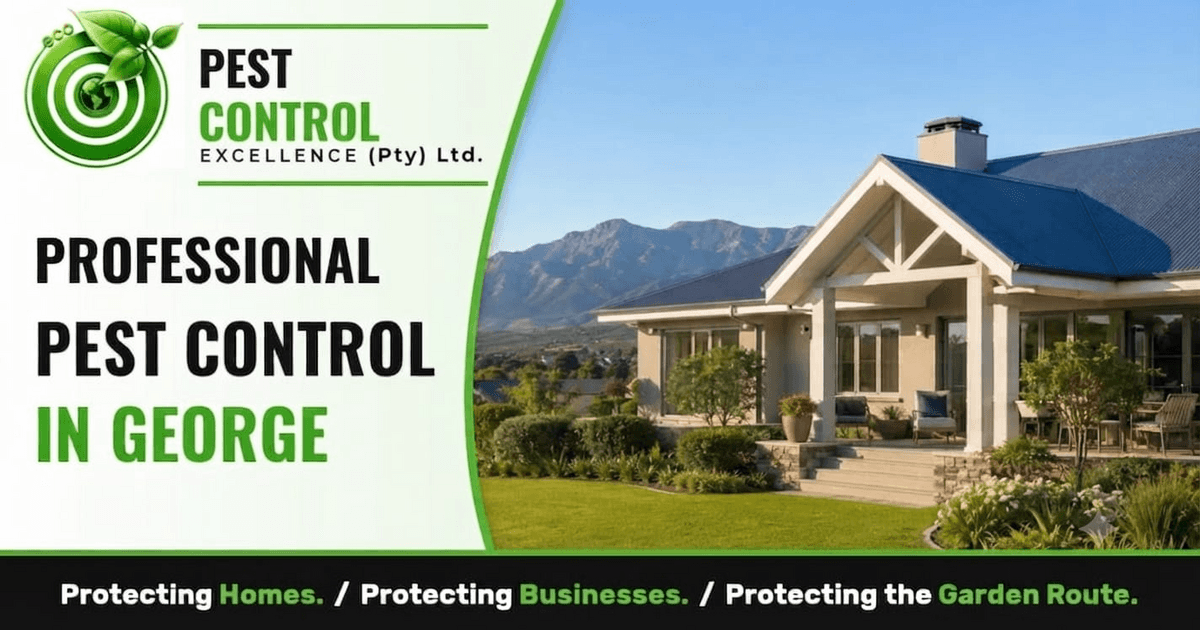 Pest Control in George - Pest Control Excellence