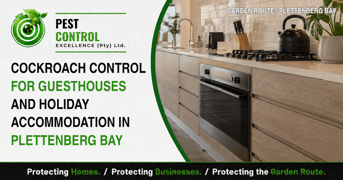 Cockroach Control for Guesthouses and Holiday Accommodation in Plettenberg Bay - Pest Control Excellence