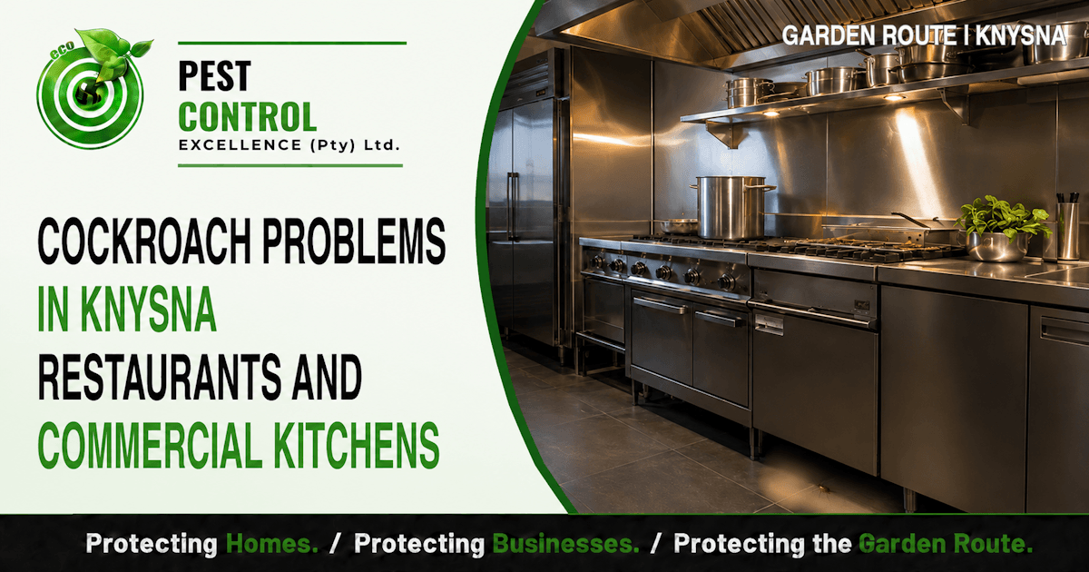 Cockroach Problems in Knysna Restaurants and Commercial Kitchens - Pest Control Excellence